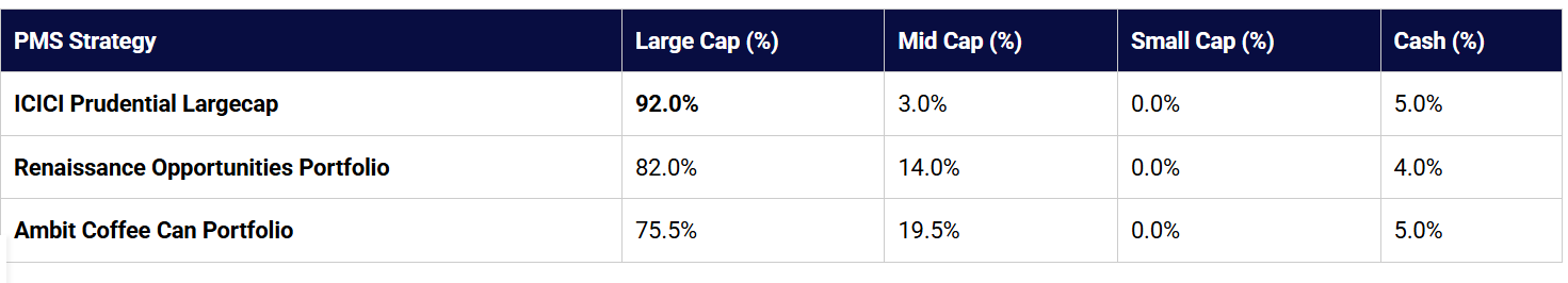 Large Cap PMS Allocation Style